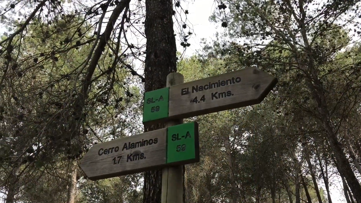 Área Recreativa El Nacimiento: el manantial que abastece históricamente a Coín