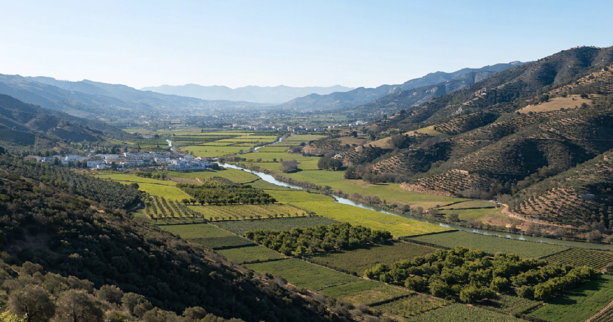 La huerta del Valle del Guadalhorce, un motor agrícola y paisajístico